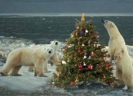 Christmas Stories