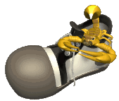 Will and Guy's funny pictures - podiatrists feet