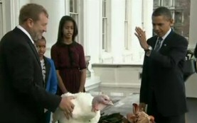 President Turkey Pardon Liberty 2011