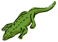 funny crocodile picture