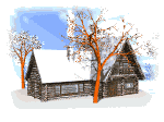 Cabin in the winter