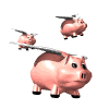 Farm worker attacked by pigs