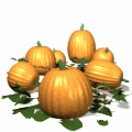 Clean Funny Pumpking Jokes