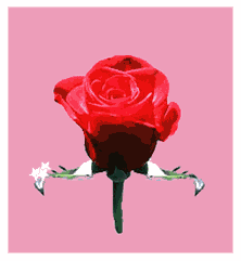 Valentine's Day Jokes - 14th February - Funny Jokes Valentine's Day Jokes - 14th February - Funny Jokes