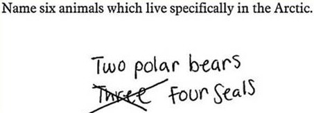2 Polar Bear Question