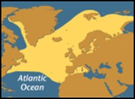 The Atlantic Puffin - Ocean