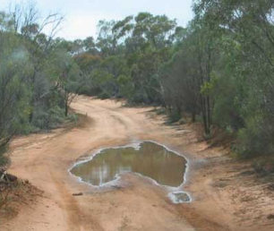 Australia - real or fake puzzle