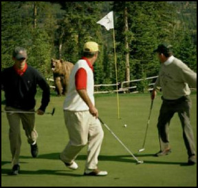 Funny Golf Pictures - Funny Jokes Funny Golf Pictures - Funny Jokes