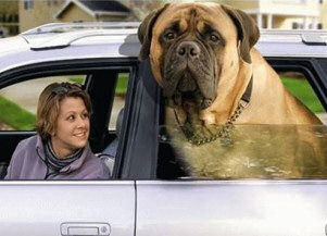 Beauty and the Beast