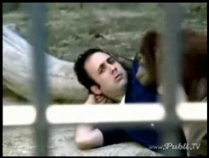 In the zoo
