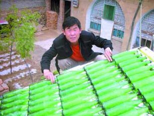 A Chinese farmer has made his own solar-powered water heater out of beer bottles and hosepipes.
