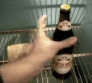 Video clip beer steal