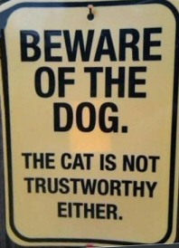 Cat not Trustworthy