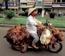 Bikes in Vietnam - Who needs a truck