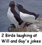 Funny Bird Pictures
