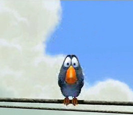 Funny Bird on a wire