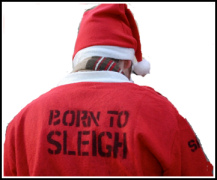 Born to Sleigh