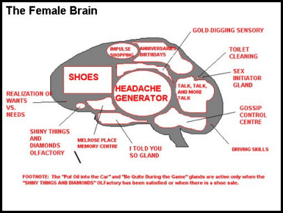 Female Brain - Funny bits