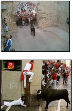 Running of the Bulls Pamplona