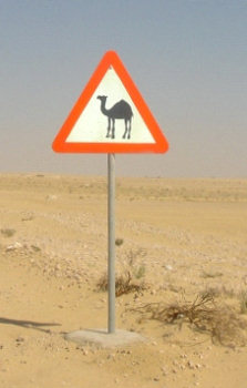 Animal road sign