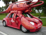 funny car picture - lobster