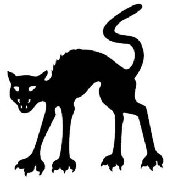 Black Halloween cat