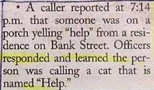 Cat Called Help