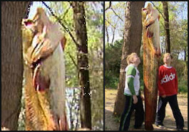 Boys love fishing - giant catfish