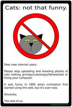 Cats: Not that funny