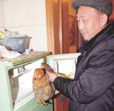 Chinese Chicken Cheats Cooker