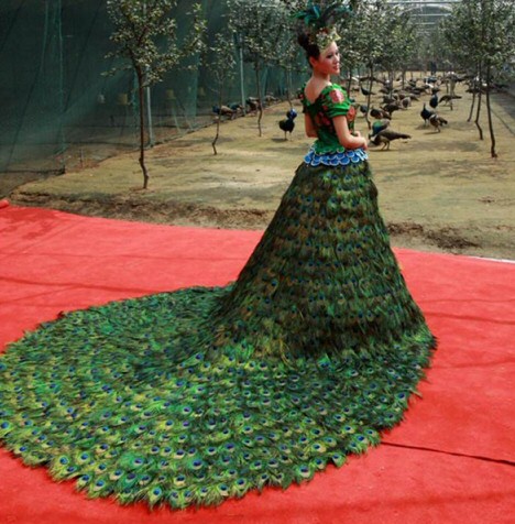 Peacock Wedding Dress