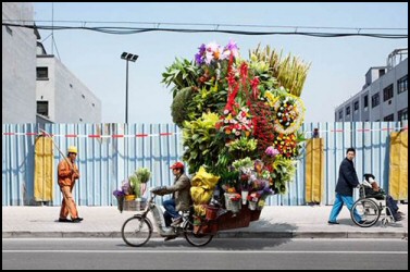 Chinese Totems