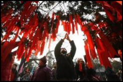 Chinese New Year Wishing Tree