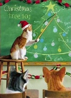 Christmas Cat
