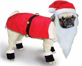 Funny Christmas Dog Santa