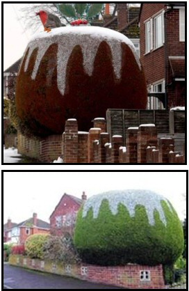 Funny Christmas Pudding Tree