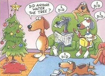 Funny dog pictures for Christmas