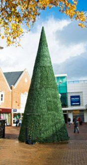 Green Dormat Christmas Tree Poole