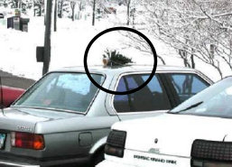 Scrooge Christmas Tree