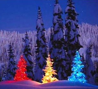 Christmas Tree Twilight