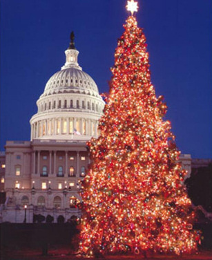 Christmas Lights Around the World - Washington DC