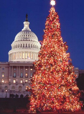 Christmas Trees Around the World - Washington DC