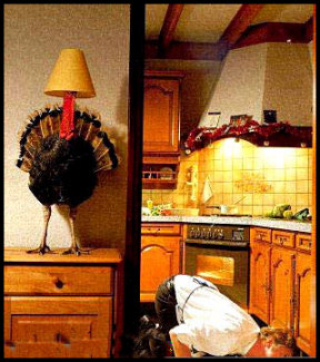 Funny Thanksgiving Turkey Picture