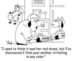 Cow and Bull Jokes