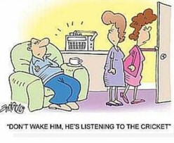Funny Cricket Stories - Funny Jokes Funny Cricket Stories - Funny Jokes