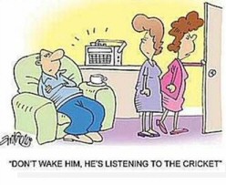 Cricket Jokes