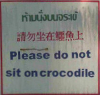Please don't sit on the Crocodile!