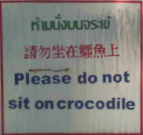 Please don't sit on the Crocodile!