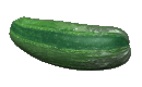 Cucumber record