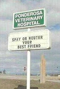 Spay or Neuter Your Best Friend